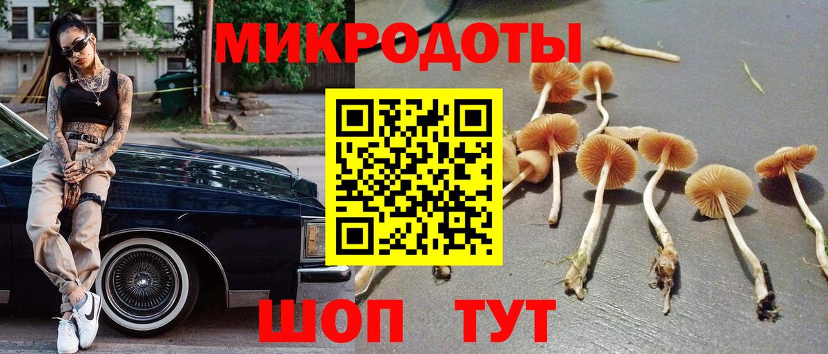 Коммунар  Галлюциногенные грибы мухоморы  Вход с VPN 