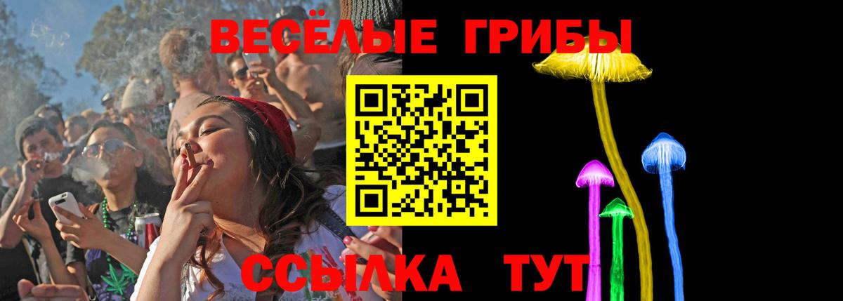 Псилоцибиновые грибы GOLDEN TEACHER Коммунар